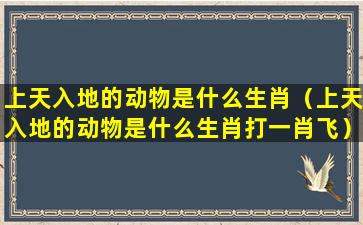 上天入地的动物是什么生肖（上天入地的动物是什么生肖打一肖飞）