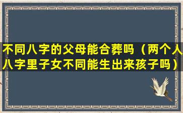 不同八字的父母能合葬吗（两个人八字里子女不同能生出来孩子吗）