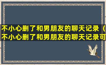 不小心删了和男朋友的聊天记录（不小心删了和男朋友的聊天记录可以恢复吗）