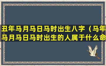 丑年马月马日马时出生八字（马年马月马日马时出生的人属于什么命）