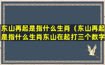 东山再起是指什么生肖（东山再起是指什么生肖东山在起打三个数字）