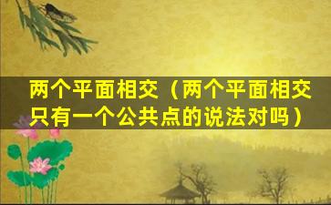 两个平面相交（两个平面相交只有一个公共点的说法对吗）