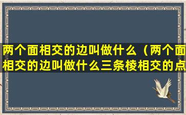 两个面相交的边叫做什么（两个面相交的边叫做什么三条棱相交的点叫做什么）