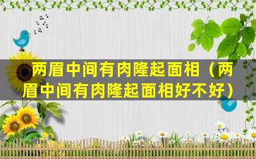 两眉中间有肉隆起面相（两眉中间有肉隆起面相好不好）