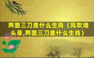 两面三刀是什么生肖（风吹墙头草,两面三刀是什么生肖）