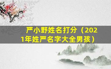 严小野姓名打分（2021年姓严名字大全男孩）