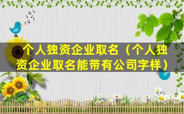 个人独资企业取名（个人独资企业取名能带有公司字样）