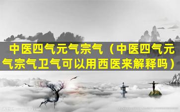 中医四气元气宗气（中医四气元气宗气卫气可以用西医来解释吗）