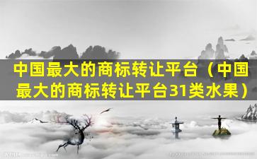 中国最大的商标转让平台（中国最大的商标转让平台31类水果）