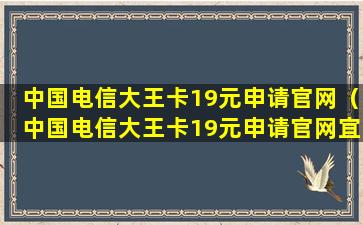 中国电信大王卡19元申请官网（中国电信大王卡19元申请官网宜城可以办理吗）