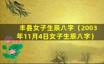 丰县女子生辰八字（2003年11月4日女子生辰八字）