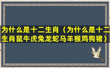 为什么是十二生肖（为什么是十二生肖鼠牛虎兔龙蛇马羊猴鸡狗猪）