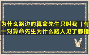 为什么路边的算命先生只叫我（有一对算命先生为什么路人见了都指指点点）