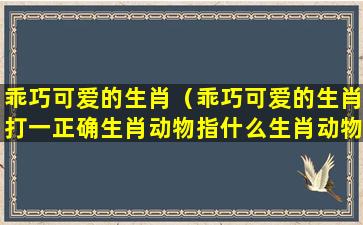 乖巧可爱的生肖（乖巧可爱的生肖打一正确生肖动物指什么生肖动物）