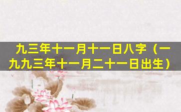 九三年十一月十一日八字（一九九三年十一月二十一日出生）