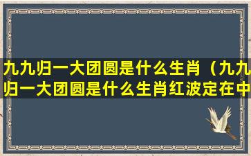 九九归一大团圆是什么生肖（九九归一大团圆是什么生肖红波定在中间发是什么生肖）