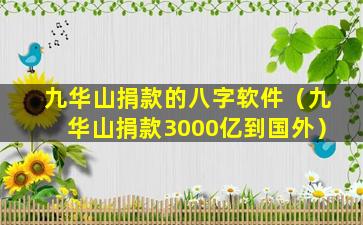 九华山捐款的八字软件（九华山捐款3000亿到国外）