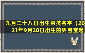 九月二十八日出生男孩名字（2021年9月28日出生的男宝宝起名）