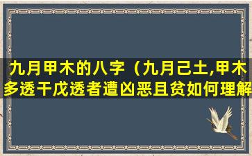 九月甲木的八字（九月己土,甲木多透干戊透者遭凶恶且贫如何理解）