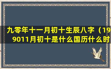 九零年十一月初十生辰八字（199011月初十是什么国历什么时候）