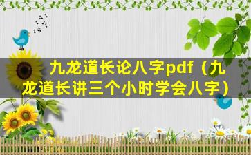 九龙道长论八字pdf（九龙道长讲三个小时学会八字）