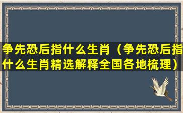 争先恐后指什么生肖（争先恐后指什么生肖精选解释全国各地梳理）