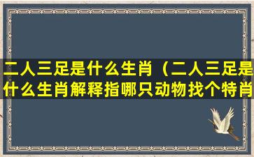 二人三足是什么生肖（二人三足是什么生肖解释指哪只动物找个特肖）