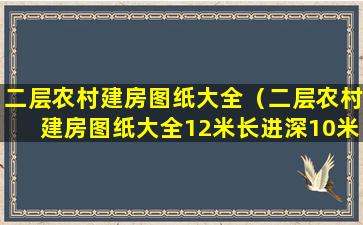 二层农村建房图纸大全（二层农村建房图纸大全12米长进深10米）