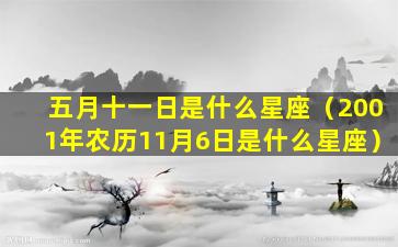 五月十一日是什么星座（2001年农历11月6日是什么星座）