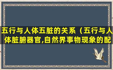 五行与人体五脏的关系（五行与人体脏腑器官,自然界事物现象的配属关系）