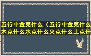 五行中金克什么（五行中金克什么木克什么水克什么火克什么土克什么）