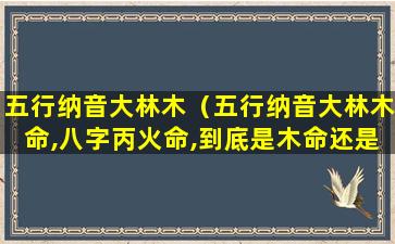 五行纳音大林木（五行纳音大林木命,八字丙火命,到底是木命还是火命）