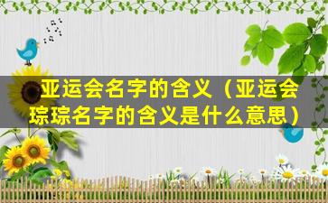 亚运会名字的含义（亚运会琮琮名字的含义是什么意思）