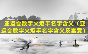 亚运会数字火炬手名字含义（亚运会数字火炬手名字含义及寓意）