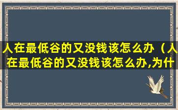 人在最低谷的又没钱该怎么办（人在最低谷的又没钱该怎么办,为什么有轻生的想法）