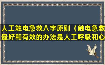 人工触电急救八字原则（触电急救最好和有效的办法是人工呼吸和心脏挤压法）