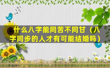 什么八字能同苦不同甘（八字同步的人才有可能结婚吗）