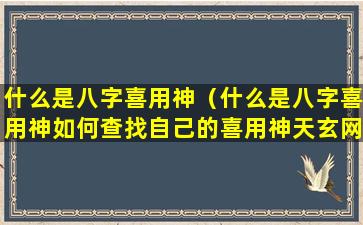 什么是八字喜用神（什么是八字喜用神如何查找自己的喜用神天玄网）