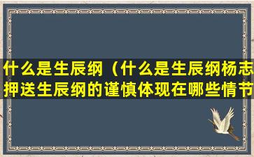 什么是生辰纲（什么是生辰纲杨志押送生辰纲的谨慎体现在哪些情节）