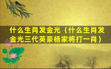 什么生肖发金光（什么生肖发金光三代英豪杨家将打一肖）