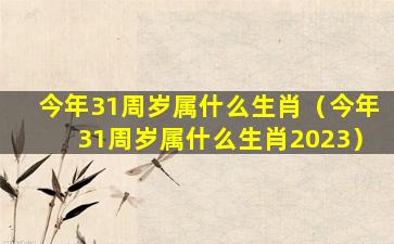 今年31周岁属什么生肖（今年31周岁属什么生肖2023）