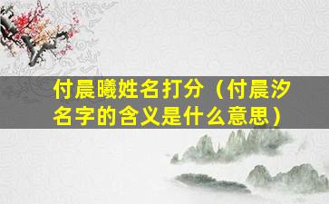 付晨曦姓名打分（付晨汐名字的含义是什么意思）