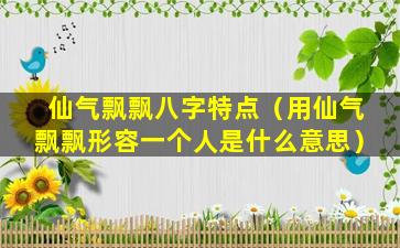 仙气飘飘八字特点（用仙气飘飘形容一个人是什么意思）