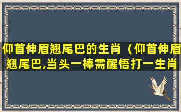 仰首伸眉翘尾巴的生肖（仰首伸眉翘尾巴,当头一棒需醒悟打一生肖）