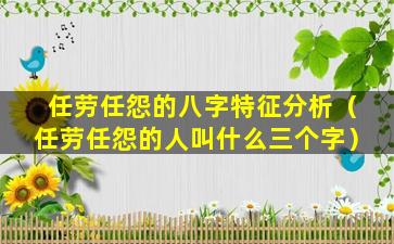 任劳任怨的八字特征分析（任劳任怨的人叫什么三个字）