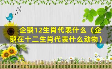 企鹅12生肖代表什么（企鹅在十二生肖代表什么动物）