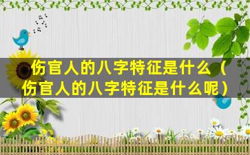 伤官人的八字特征是什么（伤官人的八字特征是什么呢）