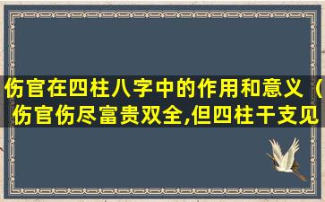 伤官在四柱八字中的作用和意义（伤官伤尽富贵双全,但四柱干支见这这个十神则破格...）