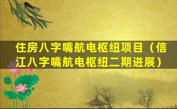 住房八字嘴航电枢纽项目（信江八字嘴航电枢纽二期进展）