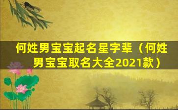 何姓男宝宝起名星字辈（何姓男宝宝取名大全2021款）